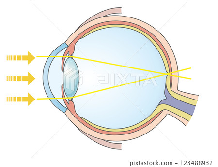 Normal vision: An illustration of normal vision 123488932