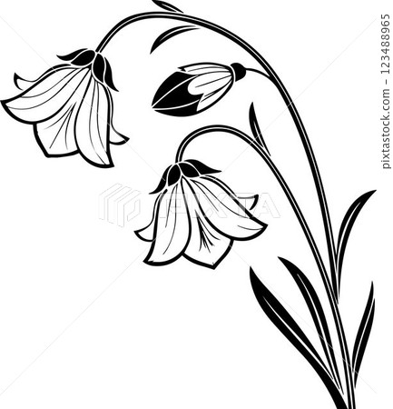 black silhouettes leaves of plant black silhouettes leaves of plant 123488965