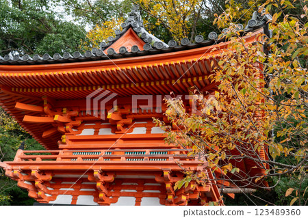 Kinuiidaji 123489360