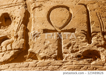 Ancient egyptian hieroglyphs on the wall in Karnak Temple Complex in Luxor, Egypt 123489626