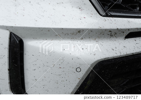 Insects stuck to the body of a white car. Insects and midges squashed on the car. Bumper covered with a large number of  insects and flies 123489717