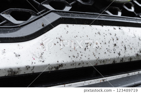 Insects stuck to the body of a white car. Insects and midges squashed on the car. Bumper covered with a large number of  insects and flies 123489719
