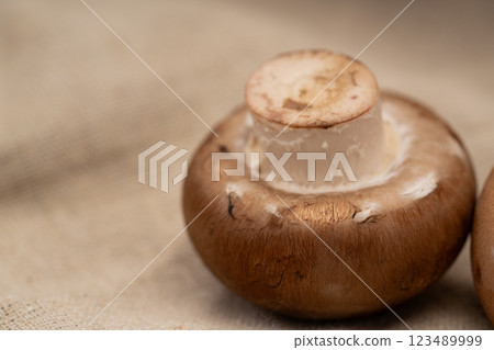 Brown mushroom close-up Brown mushroom close-up 123489999