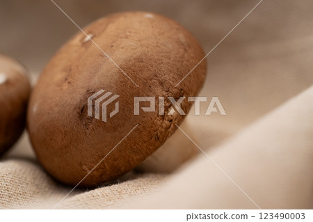 Brown mushroom close-up Brown mushroom close-up 123490003