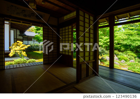 源光庵迎來新綠季節 123490136