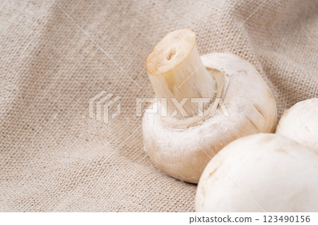 白蘑菇特寫 白蘑菇特寫 123490156