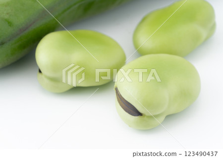 Broad beans close-up 123490437