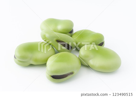 Broad beans on white background Broad beans on white background 123490515