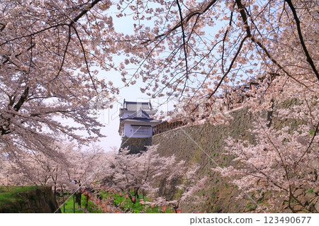 角山公園(岡山縣津山市) 津山城櫻花盛開<日本櫻花名勝100選> 角山公園(岡山縣津山市) 津山城櫻花盛開<日本櫻花名勝100選> 123490677