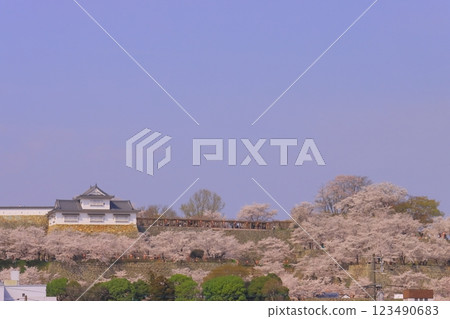 角山公園（岡山縣津山市） 津山城櫻花盛開<日本櫻花名勝100選> 123490683