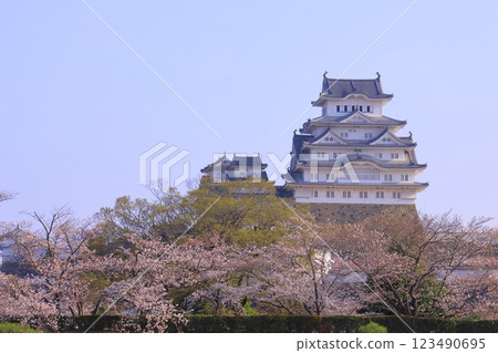 姬路城（兵庫縣姬路市）櫻花盛開（日本100名城） 123490695