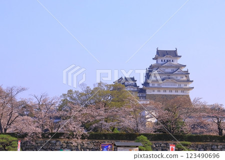 姬路城（兵庫縣姬路市）櫻花盛開（日本100名城） 123490696