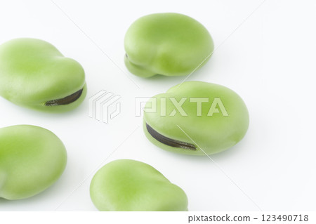 Close-up of broad bean seeds 123490718