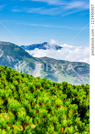 從前往別津山的登山道上看到的雲海藥師山。 從前往別津山的登山道上看到的雲海藥師山。 123490807