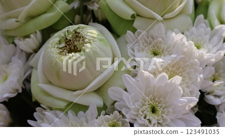 Beautifully arranged lotus flowers for worshiping sacred beings in Buddhist or Hindu beliefs Beautifully arranged lotus flowers for worshiping sacred beings in Buddhist or Hindu beliefs 123491035