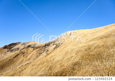 Mt. Kishima - Winter scenery of Aso 123491514