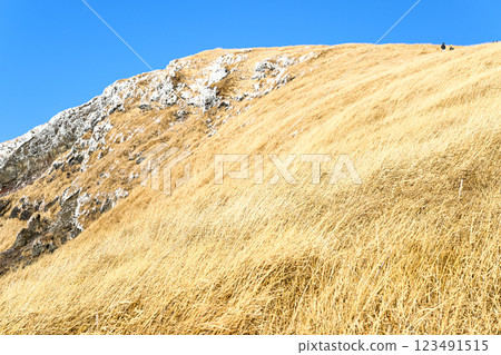 Mt. Kishima - Winter scenery of Aso 123491515