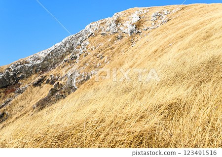 Mt. Kishima - Winter scenery of Aso 123491516