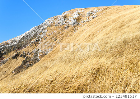 Mt. Kishima - Winter scenery of Aso 123491517