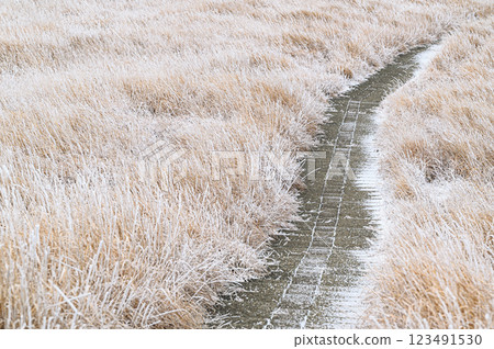 A winter landscape of Aso, covered with frost 123491530