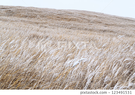 A winter landscape of Aso, covered with frost 123491531