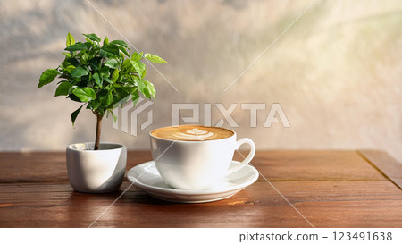 Coffee and potted plant on the table 123491638