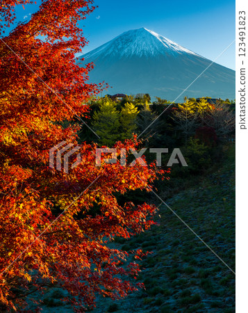 朝陽下的大倉水壩和富士山的秋葉 朝陽下的大倉水壩和富士山的秋葉 123491823