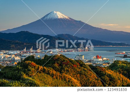 從日本平眺望的紅葉和富士山 123491830