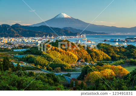 從日本平眺望清水港郊野的紅葉和富士山 123491831