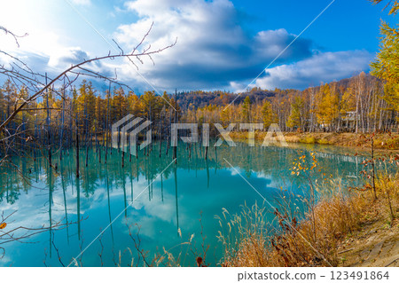 北海道秋季人氣景點：青池 123491864
