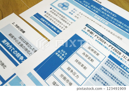 商業計劃書文件（示範文件） 123491909