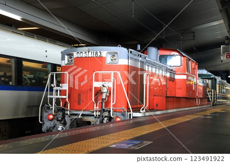 [JR West] DD51 type (JR Kyoto Line: Osaka Station) 123491922