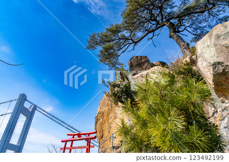 A hidden spot in early spring: Inari Shrine Okumiya, the lone pine tree on Mt. Washuu, and the Great Seto Bridge 9. Kurashiki City, Okayama Prefecture A hidden spot in early spring: Inari Shrine Okumiya, the lone pine tree on Mt. Washuu, and the Great Seto Bridge 9. Kurashiki City, Okayama Prefecture 123492199