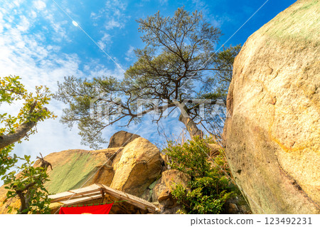 初春的祕境：岡山縣倉敷市稻荷神社奧宮與鷲羽山三峰的孤松 123492231