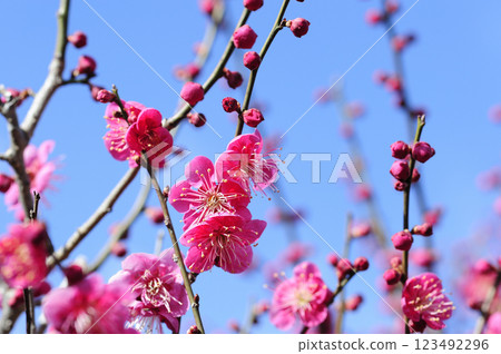 Welcome to spring Welcome to spring 123492296