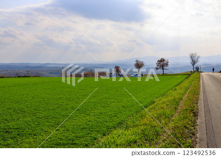美麗的山丘風景 美麗的山丘風景 123492536
