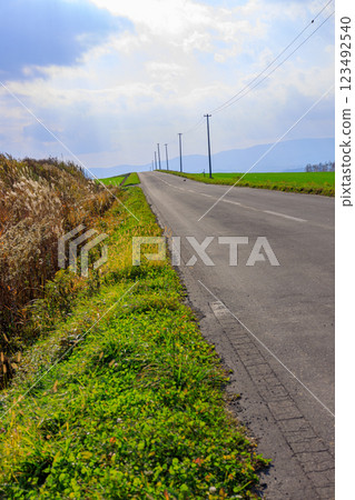 美麗的山丘風景 123492540