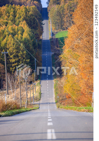美麗的山丘風景 123492549