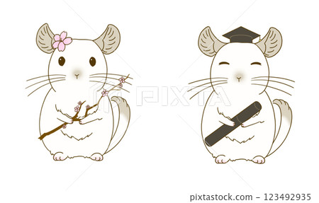 Spring chinchilla illustration set (pied) Spring chinchilla illustration set (pied) 123492935