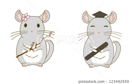 Spring chinchilla illustration set (gray) 123492939