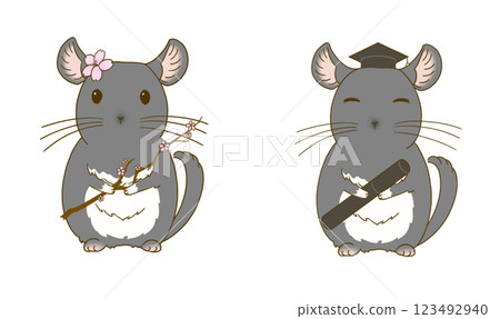 Spring Chinchilla Illustration Set (Black Velvet) 123492940