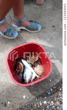 釣魚 釣魚 123493043