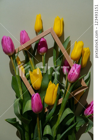 Fresh bouquet of colorful tulip flowers in frame on pastel background with shadows. Minimalist design greeting card for springtime holidays. Gift for birthday 8 March Mother's Day Valentine's day 123493151