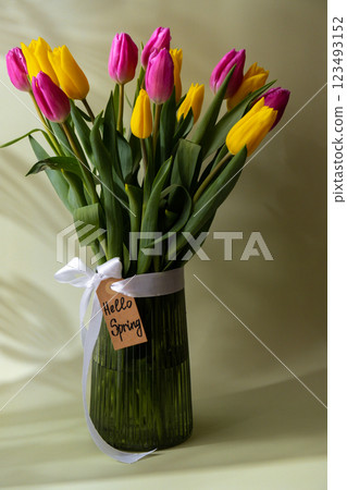 HELLO SPRING card Bouquet of colorful tulips in vase in pastel green background. Copy space for greeting card. Holiday flowers springtime HELLO SPRING card Bouquet of colorful tulips in vase in pastel green background. Copy space for greeting card. Holiday flowers springtime 123493152