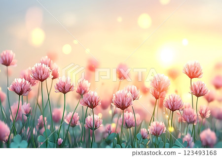 stunning pink clover blossoms bathed in warm sunset light.  123493168
