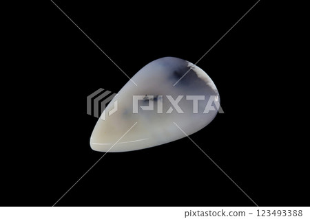 馬林石雪花石 123493388