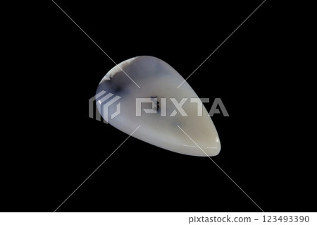 Marlinite snowy stone Marlinite snowy stone 123493390