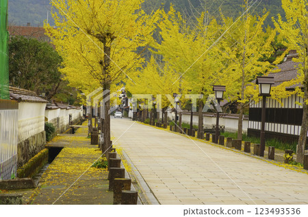 Tonomachi Street in Tsuwano Town 123493536