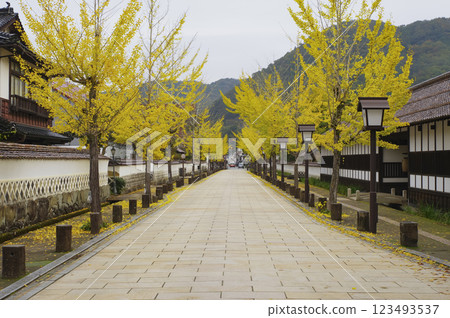 Tonomachi Street in Tsuwano Town 123493537