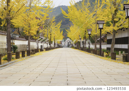 津和野町殿町街 123493538